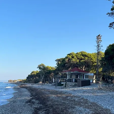 ξυλοκαστρο σπίτι δίπλα στα πεύκα και τη θάλασσα! Apartment *
